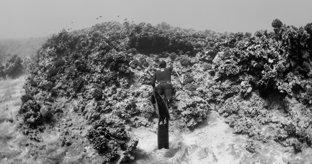 two divers under water