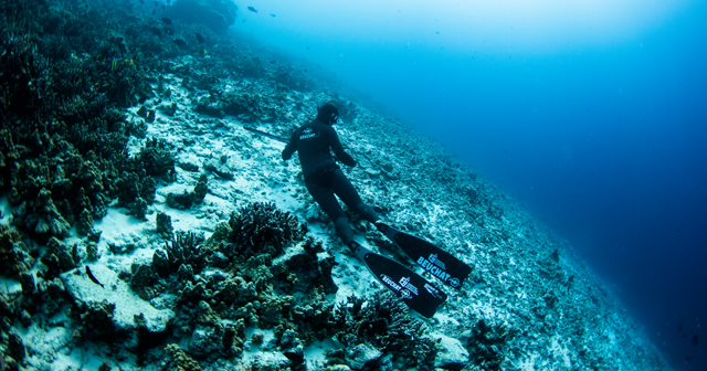 two divers under water